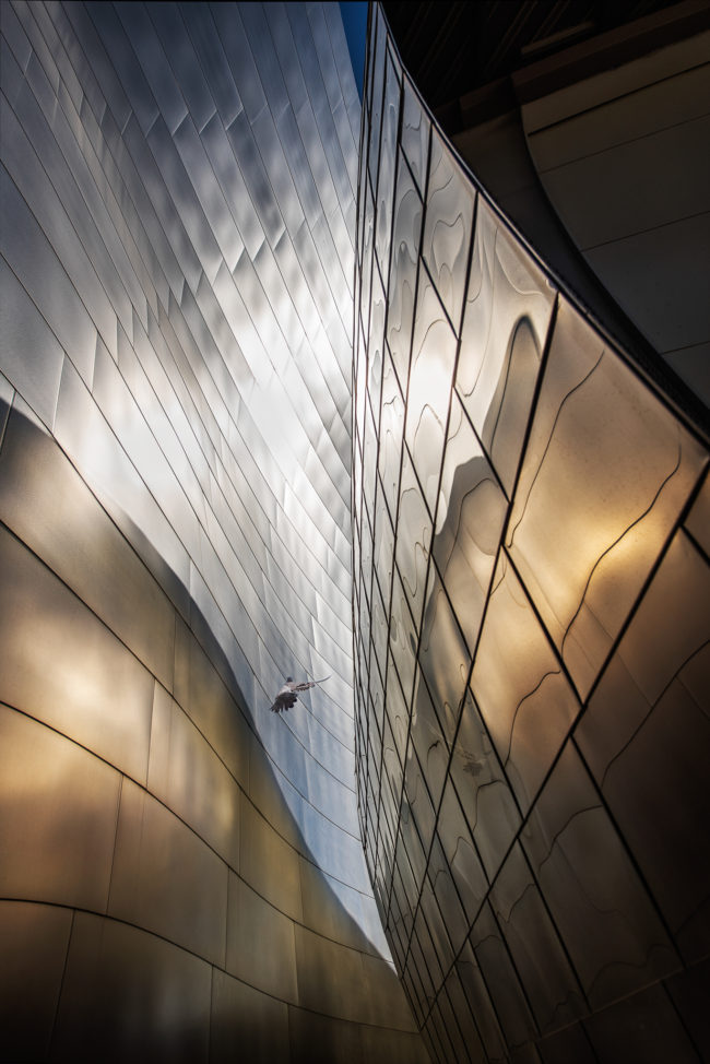 Walt Disney Concert Hall